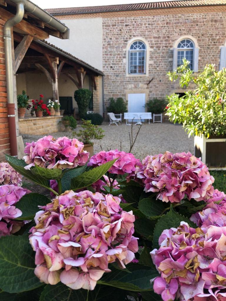 Domaine De La Baisse Villa Saint-Etienne-la-Varenne Luaran gambar